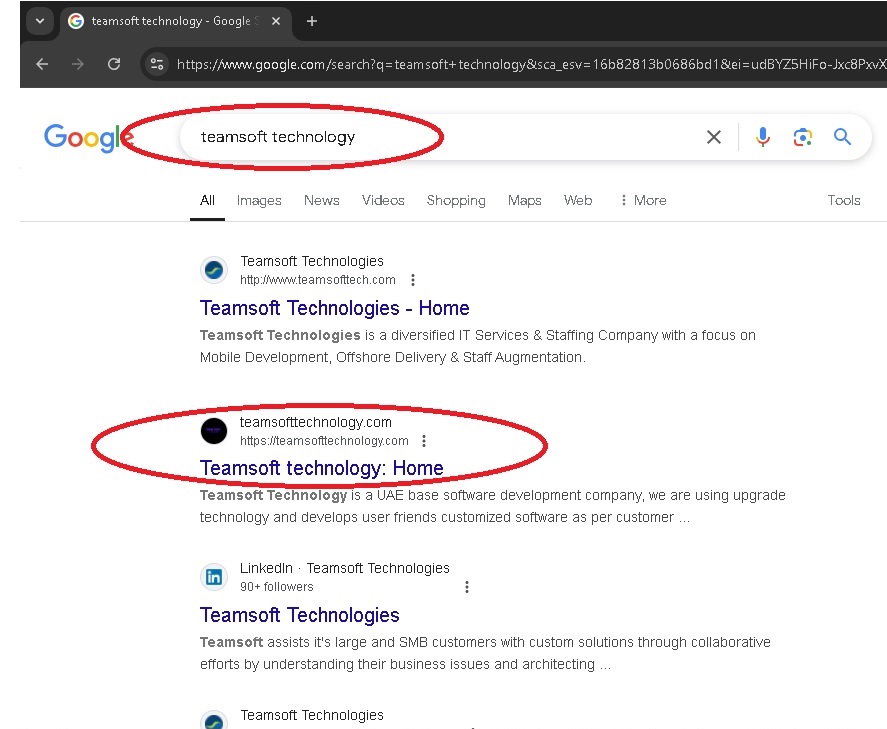 Teansoft SEO rank